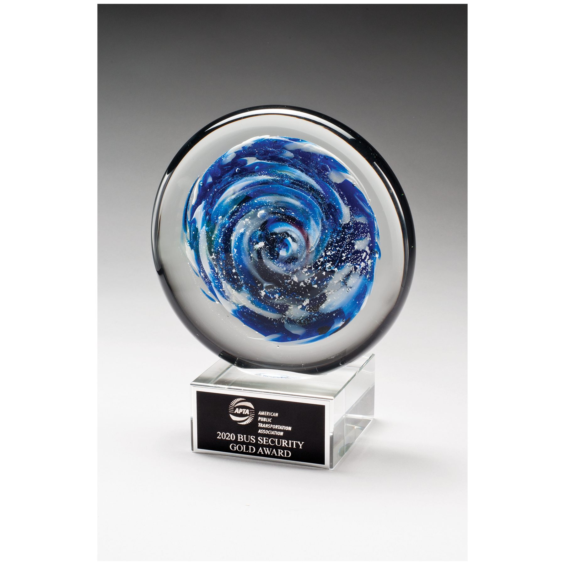 Blue and White Disc Art Glass Award