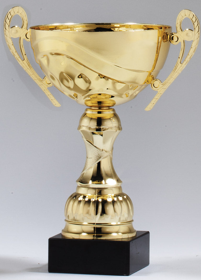 Metal Cup Trophy