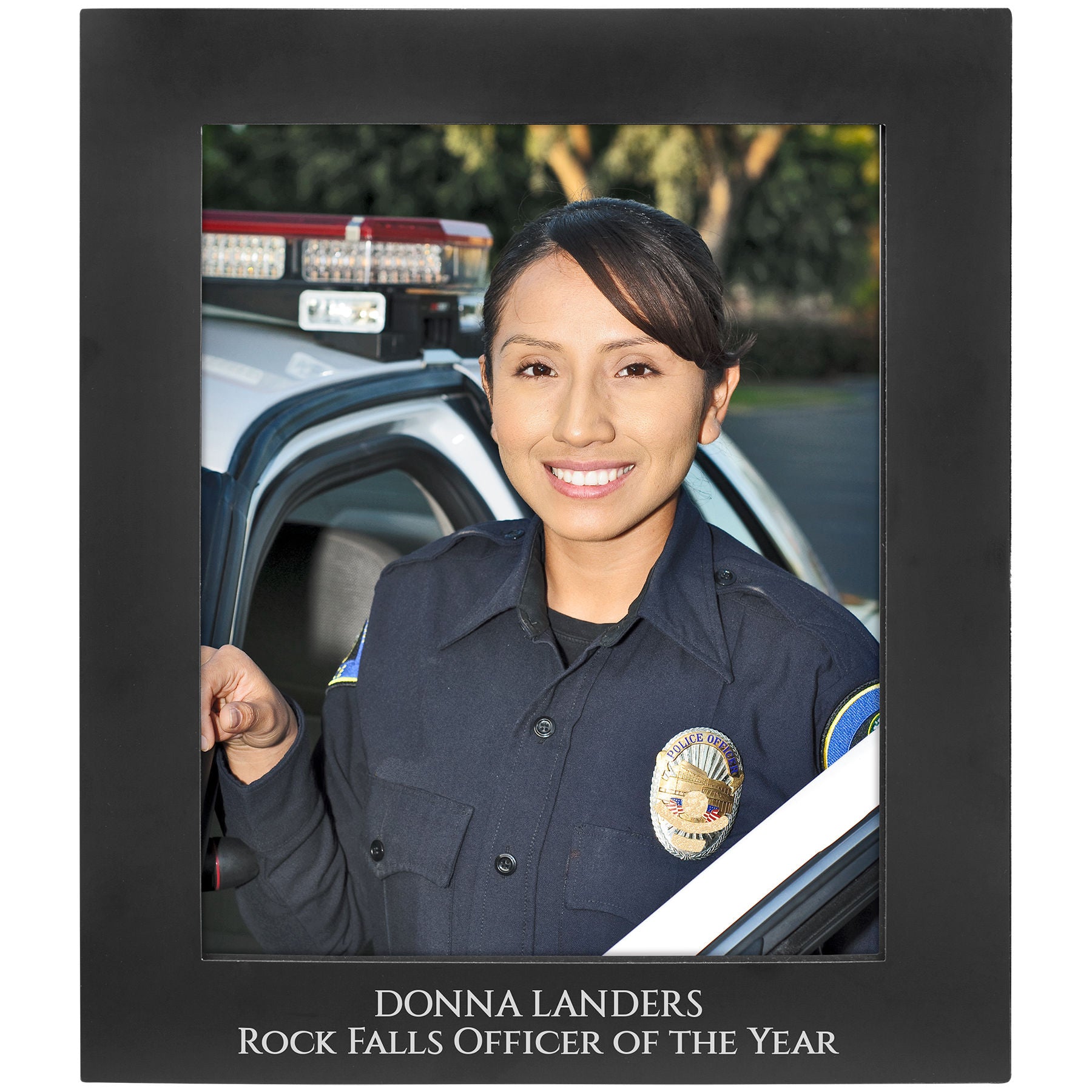 Anodized Aluminum Picture Frame