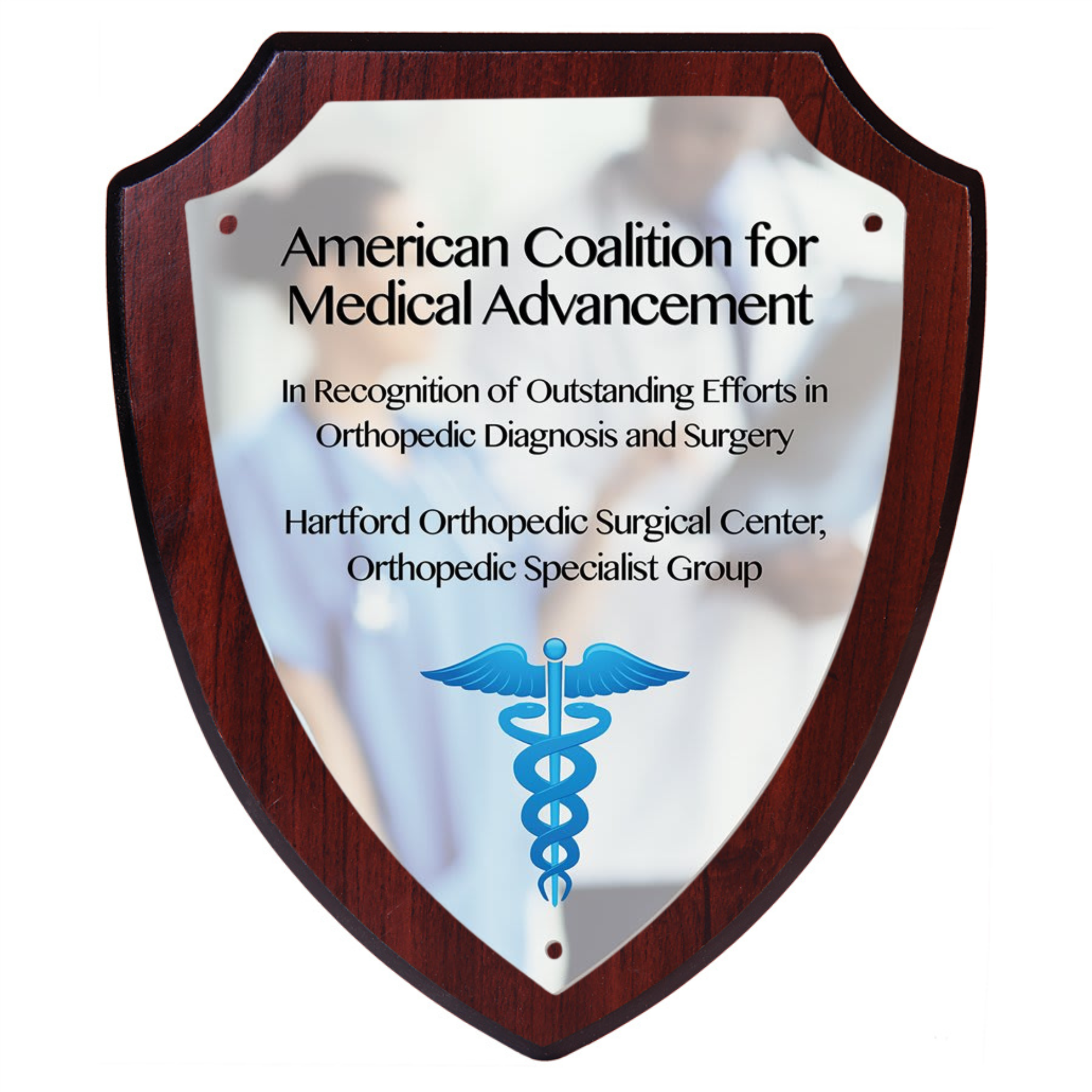 Shield Plaque Award with Plate