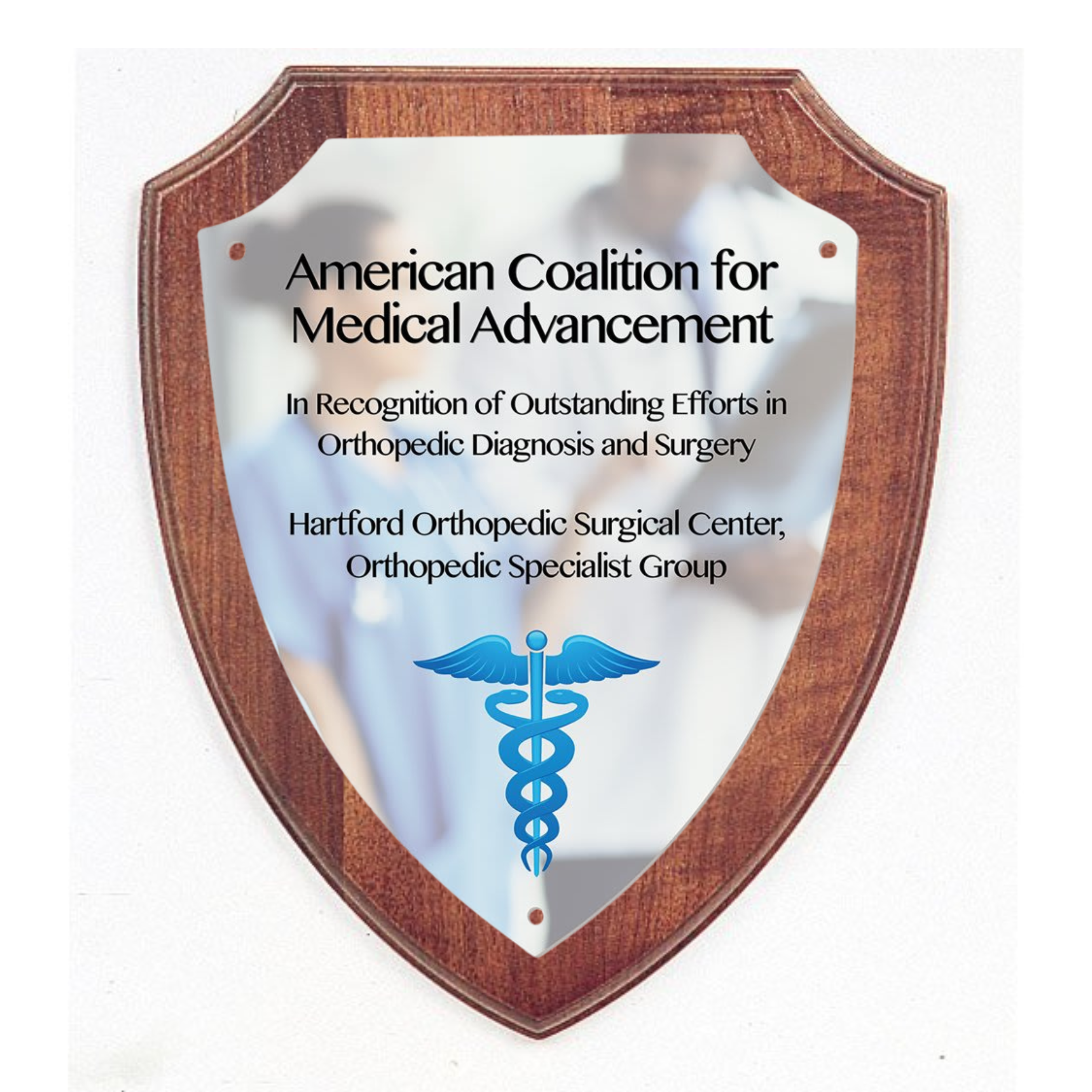 Shield Plaque Award with Plate