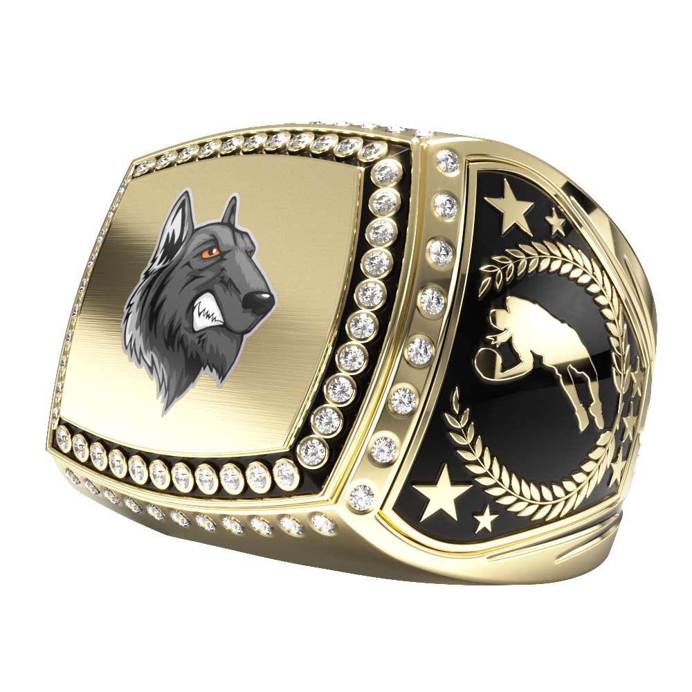 Titan Ring Custom