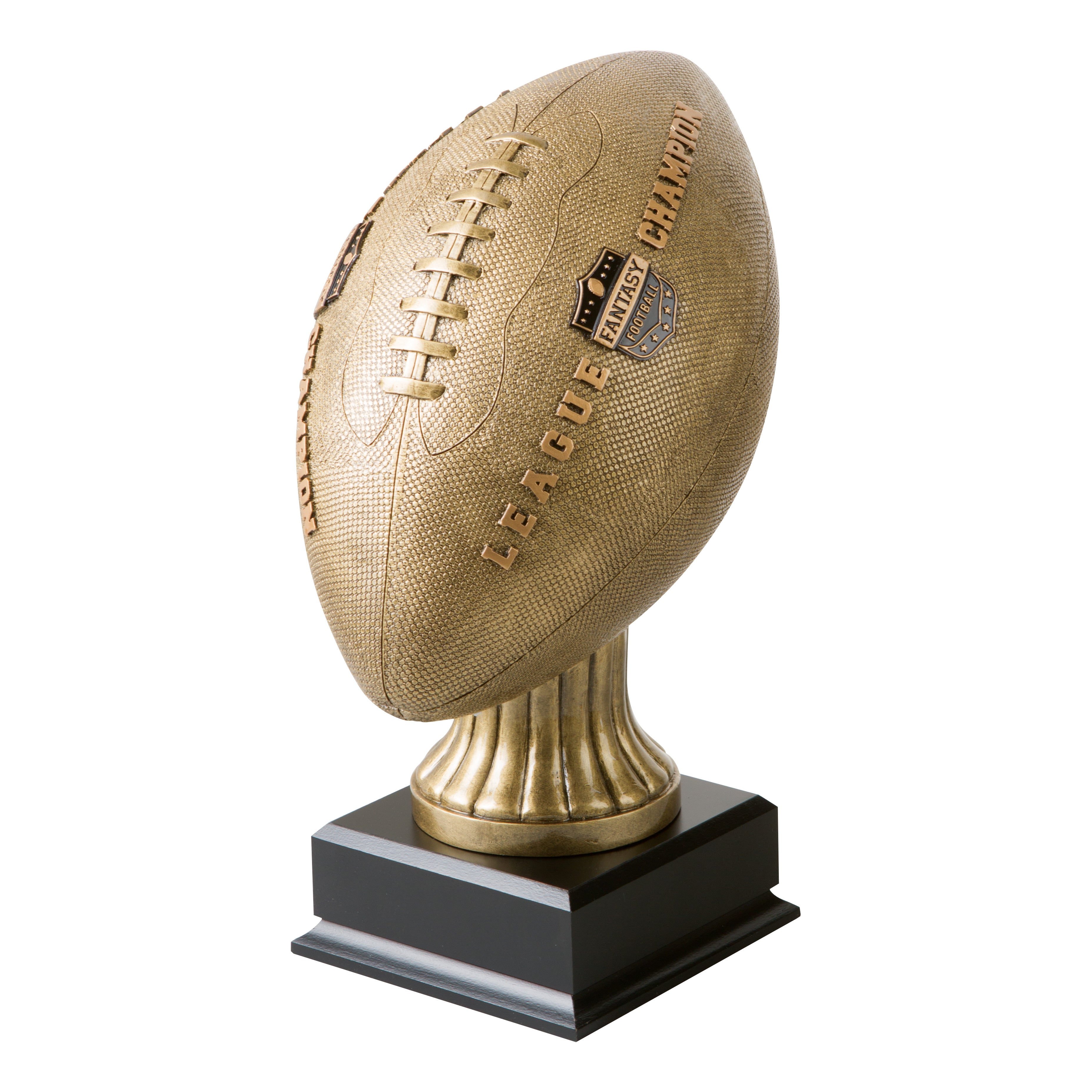 Fantasy Football League Champion