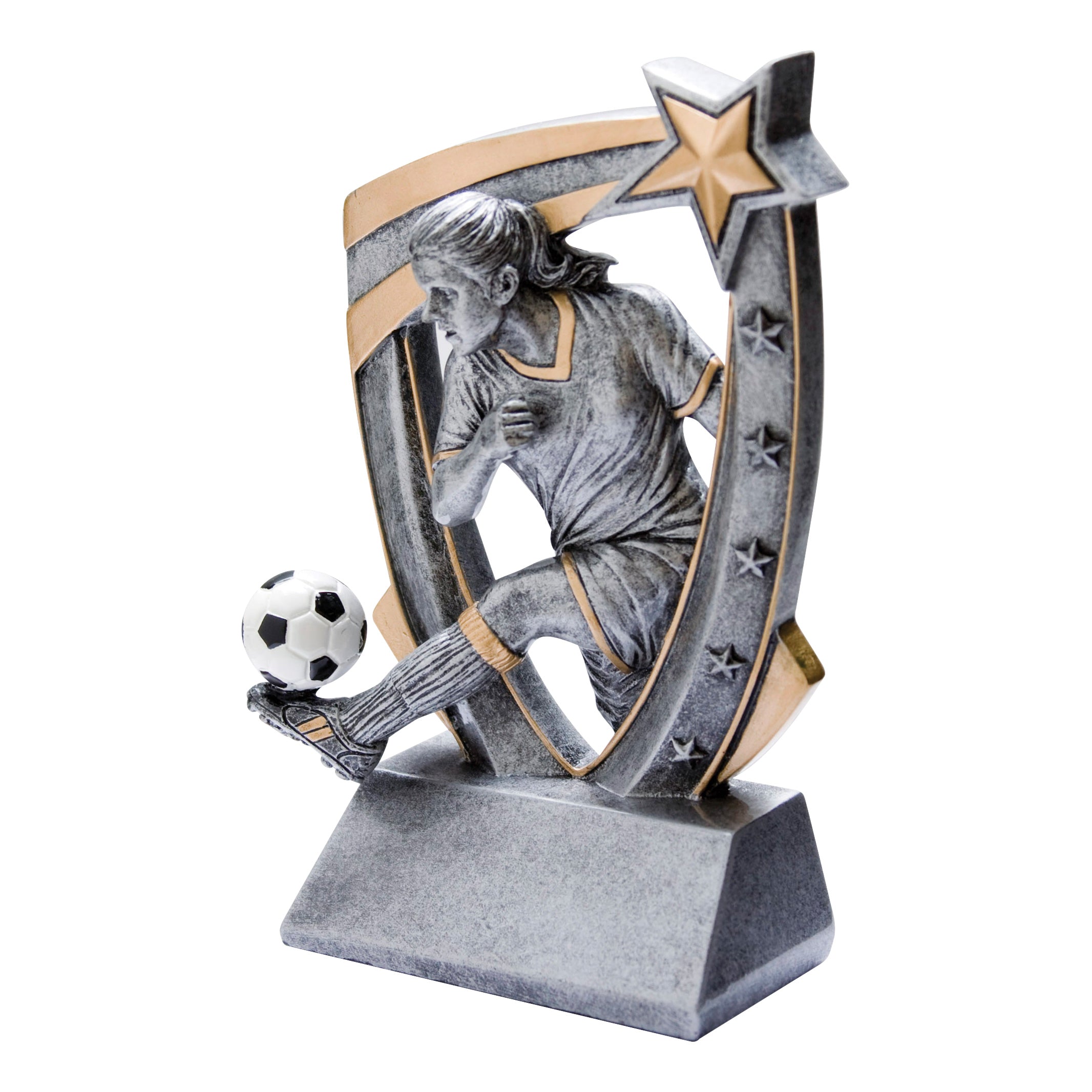 3-D Star Resin Award