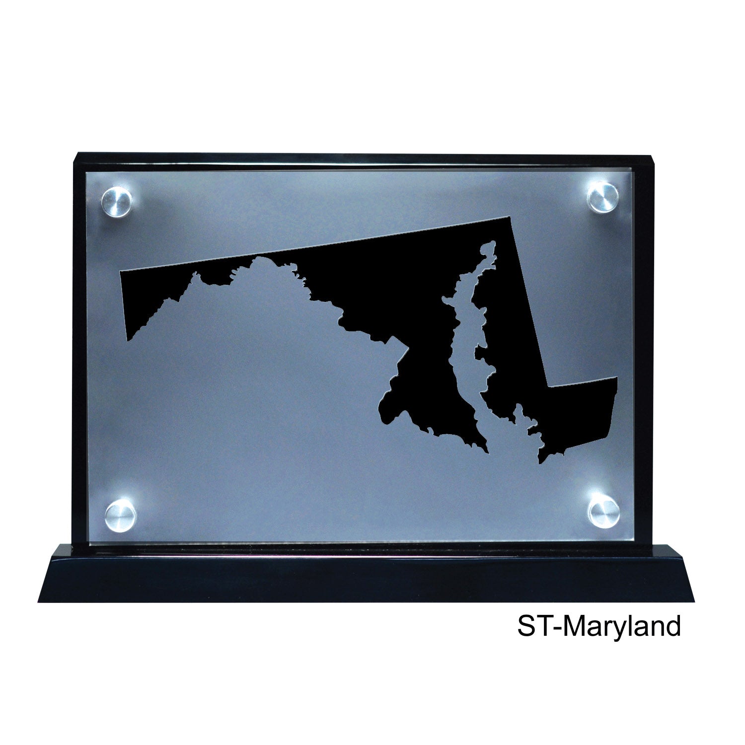 Delaware State Acrylic Standout Award