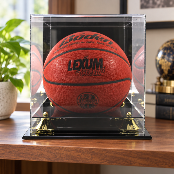 Basketball, Soccer Ball and Volleyball Display Case displayed in a home office