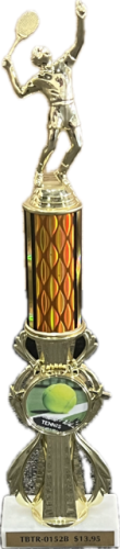 3D Full Color Logo Riser Award