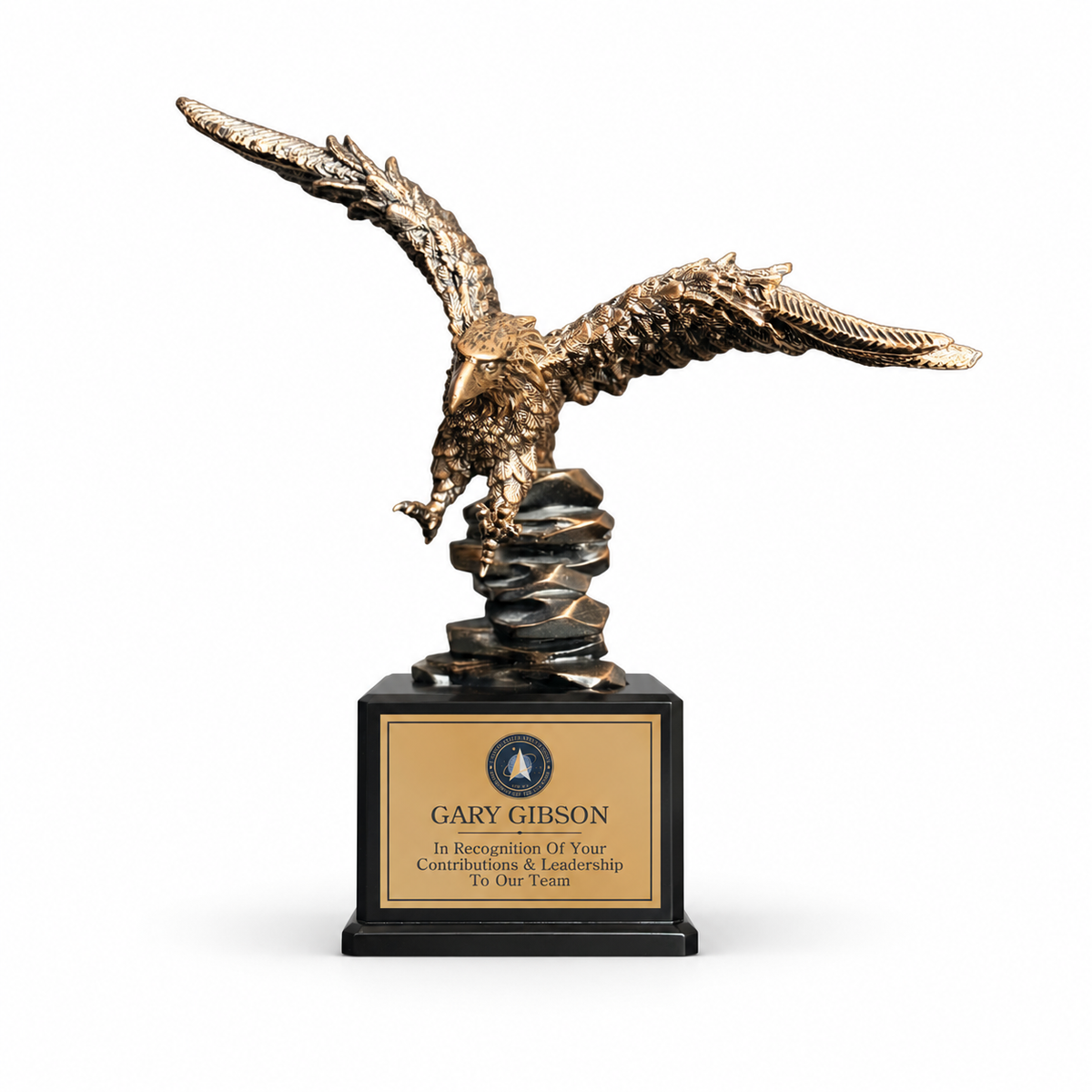 Large Landing Eagle — main product photograph (featured award)