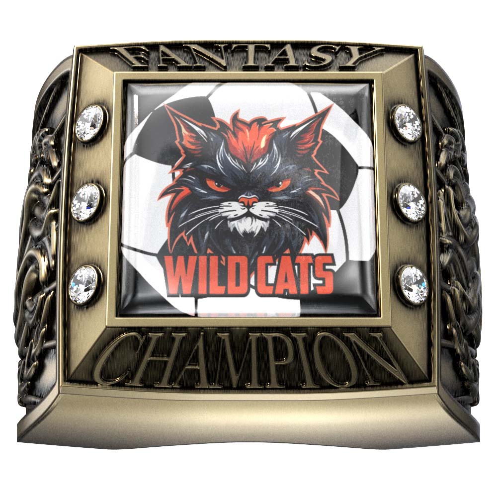 Custom Star and Torch Rings