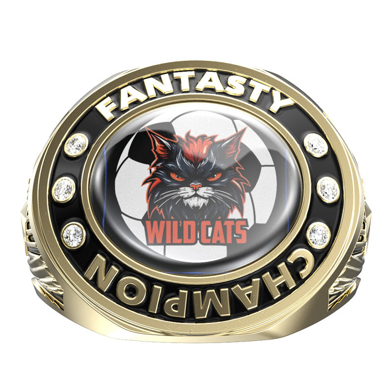 Custom Star and Torch Rings