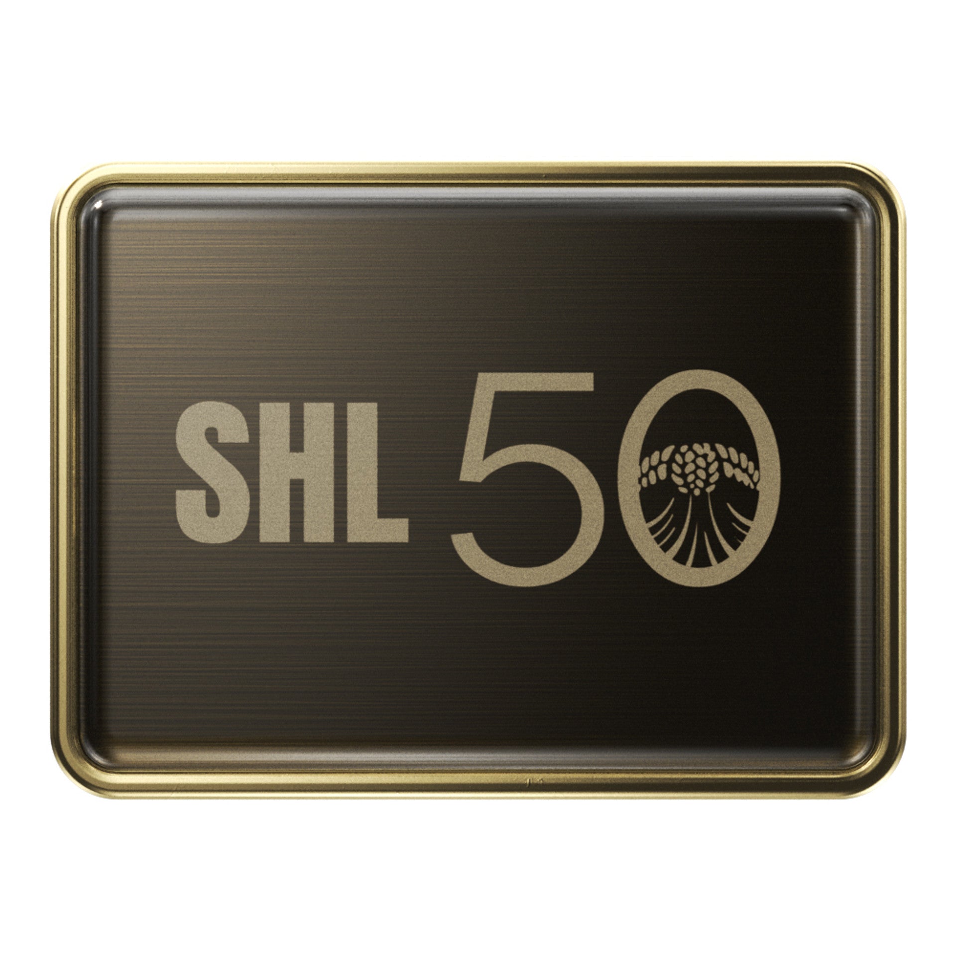 Express Lapel Pins