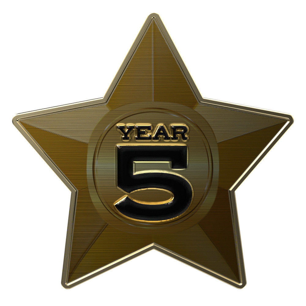 Star Texture Tone lapel pin — style example; size varies by selection