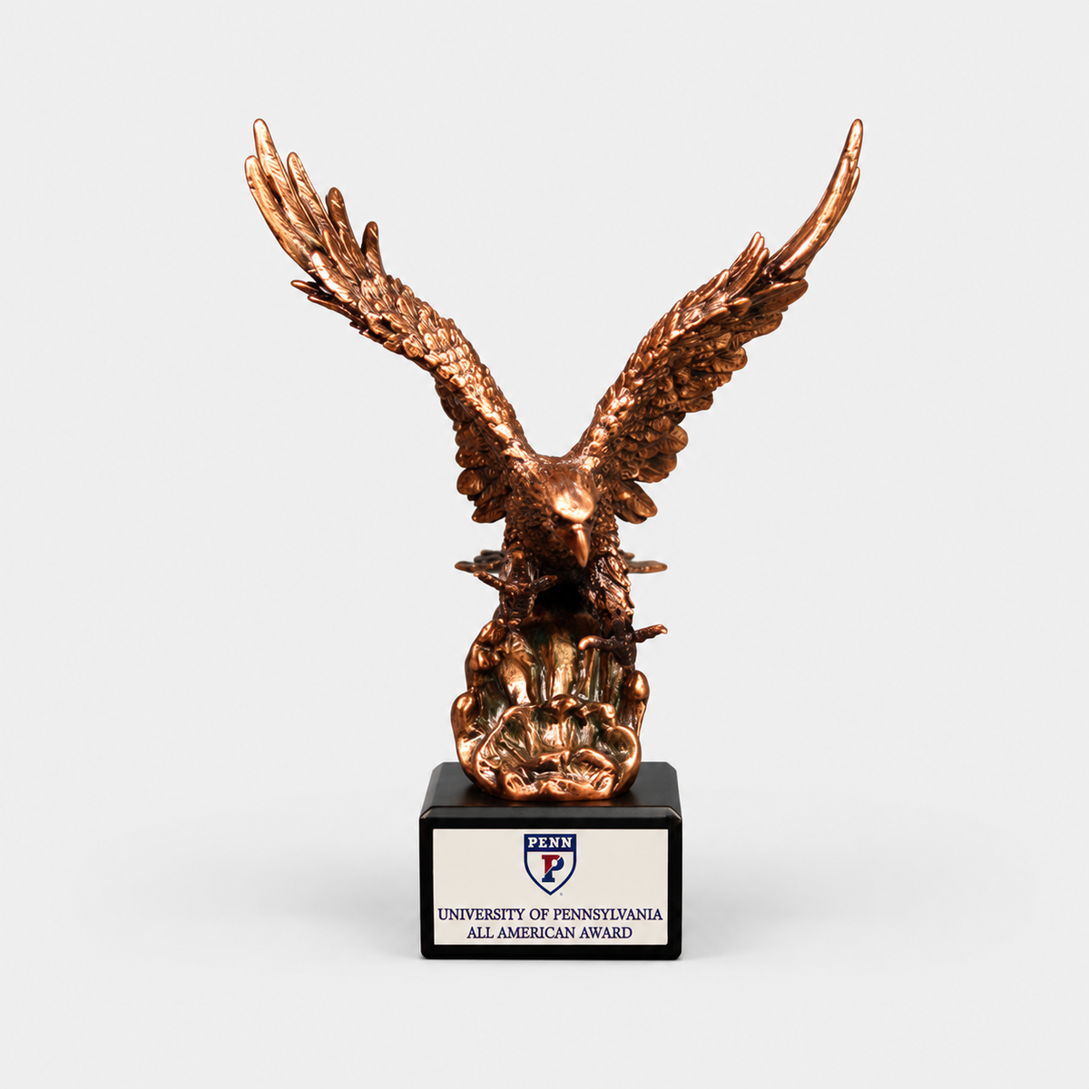 Antique Bronze Eagle Award — main product photo