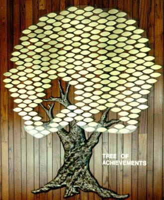 Matthews T1 bronze donor recognition tree, 279-leaf standard configuration