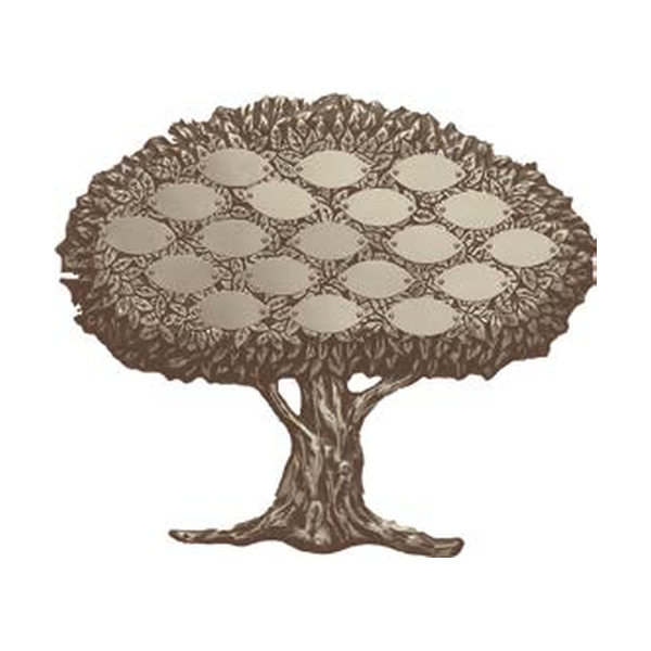 Matthews 19 x 16 inch bronze keepsake donor tree — example leaf layout