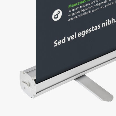 Standard Retractable