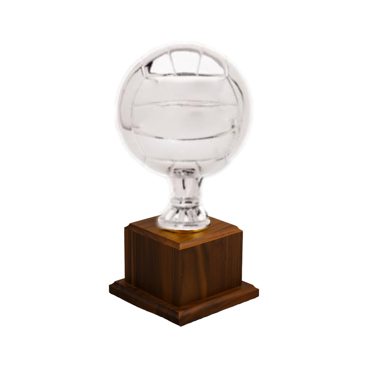 Volleyball Replica Award — alternate finish