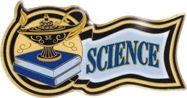 Scholastic Award Pins