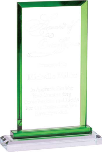 Colorful Rectangle Trim Glass Award