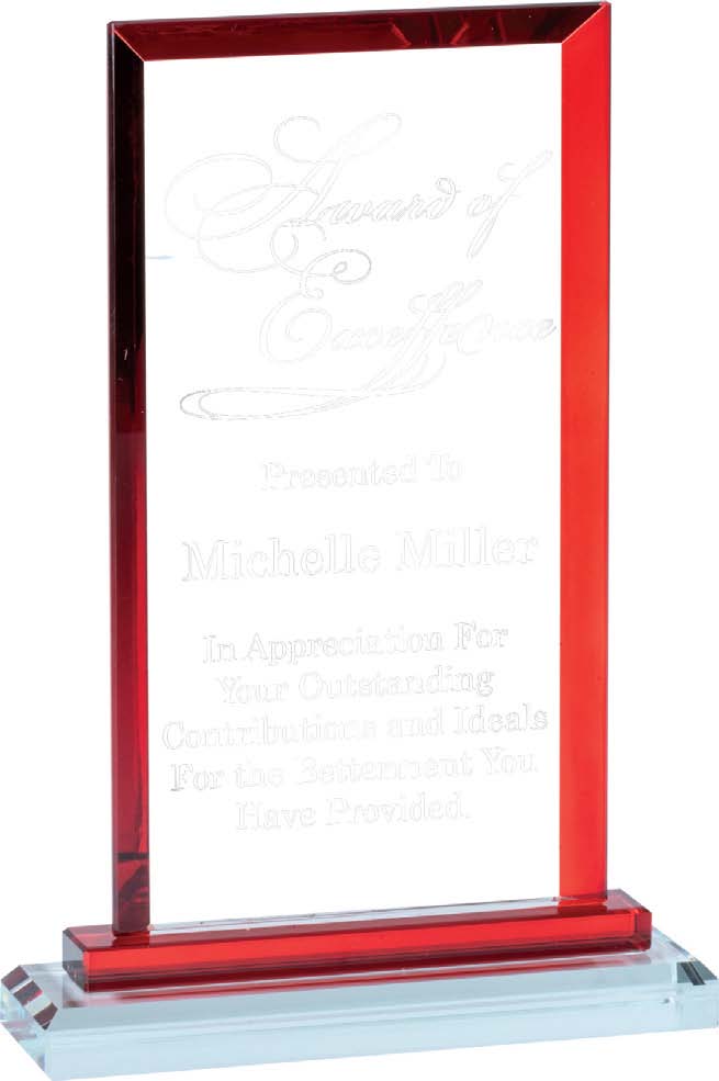 Colorful Rectangle Trim Glass Award