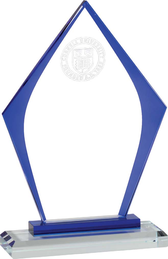 Colorful Diamond Trim Glass Award