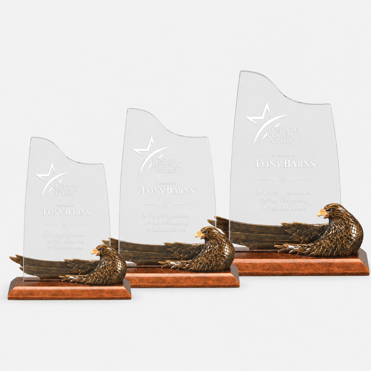Reclining Eagle Acrylic Award