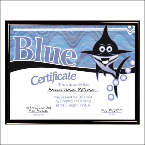 CERTIFICATE FRAME