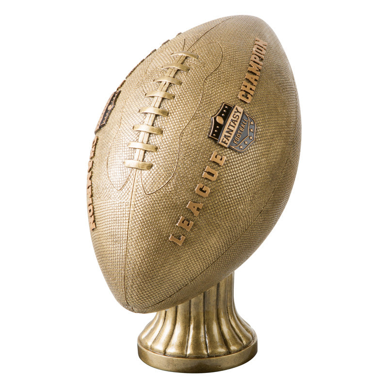 Fantasy Football League Champion