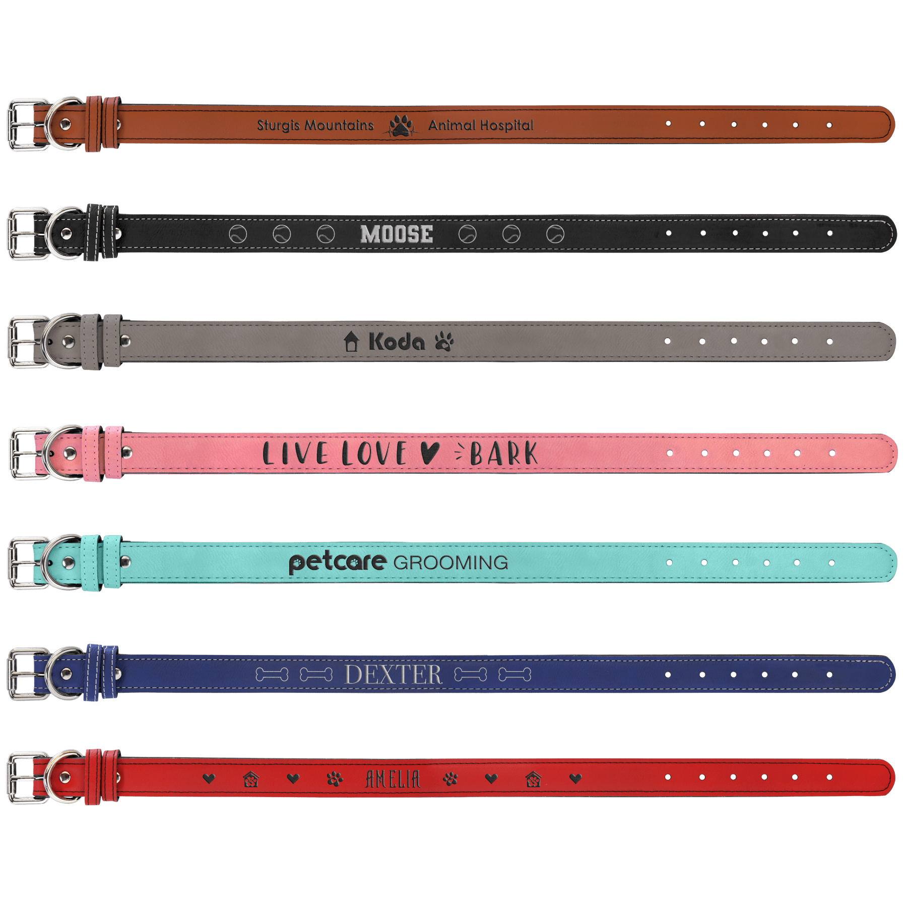 Pet Collars