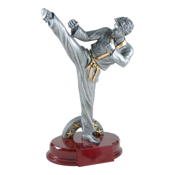 Martial Arts
