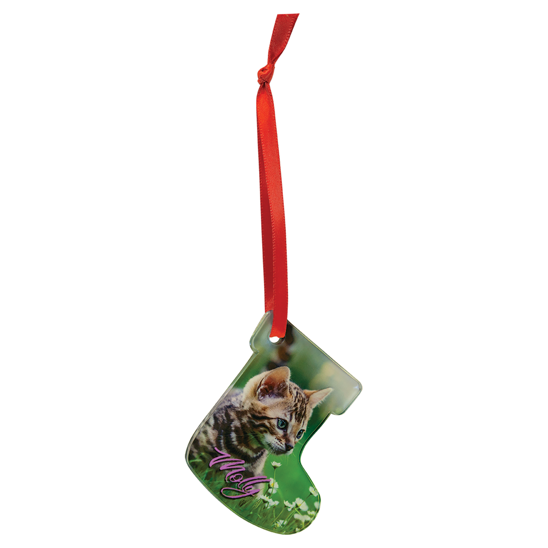 Full Color Acrylic Ornament with Red Ribbon