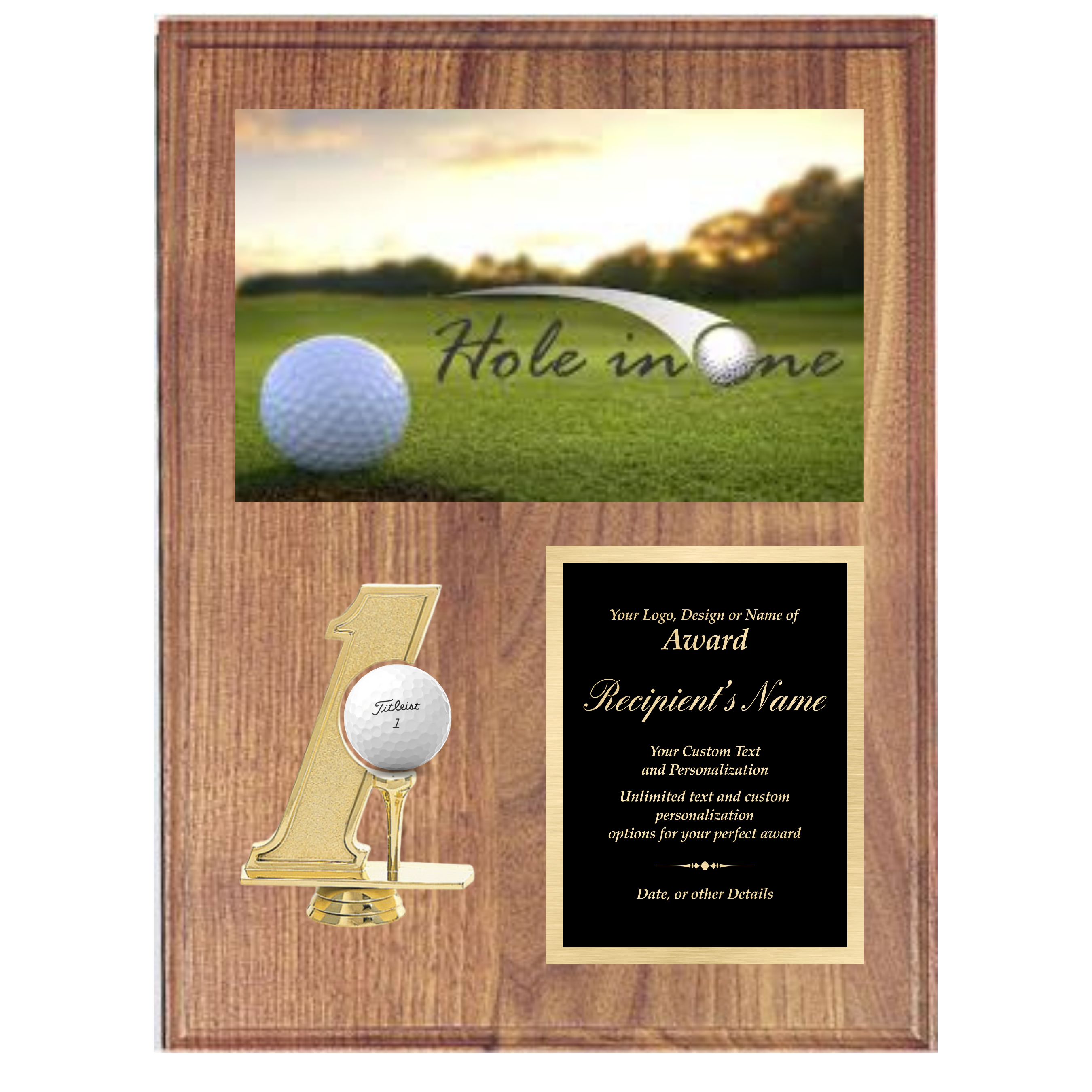 Hole in 1 Plaque with Photo