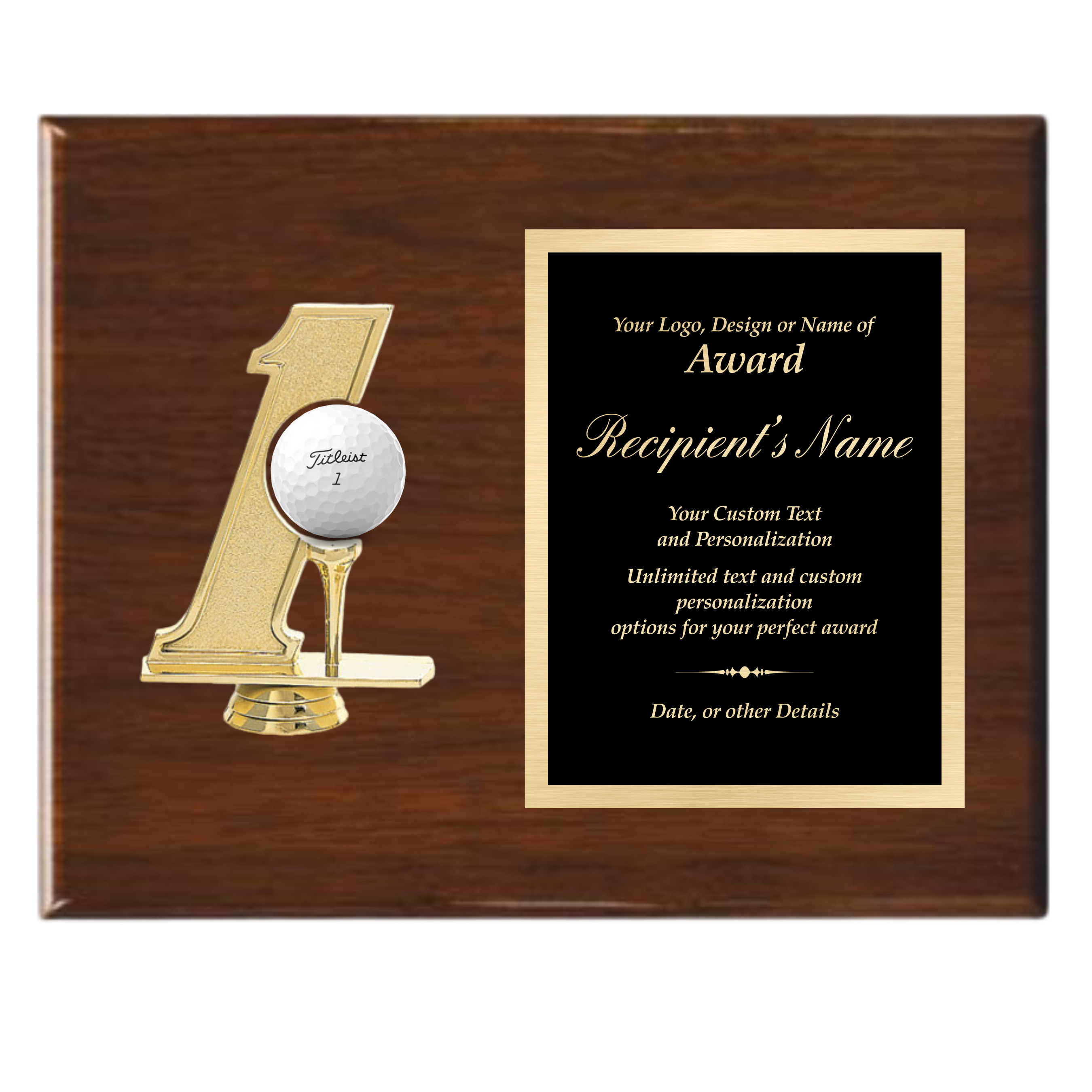 Hole in 1 Plaque