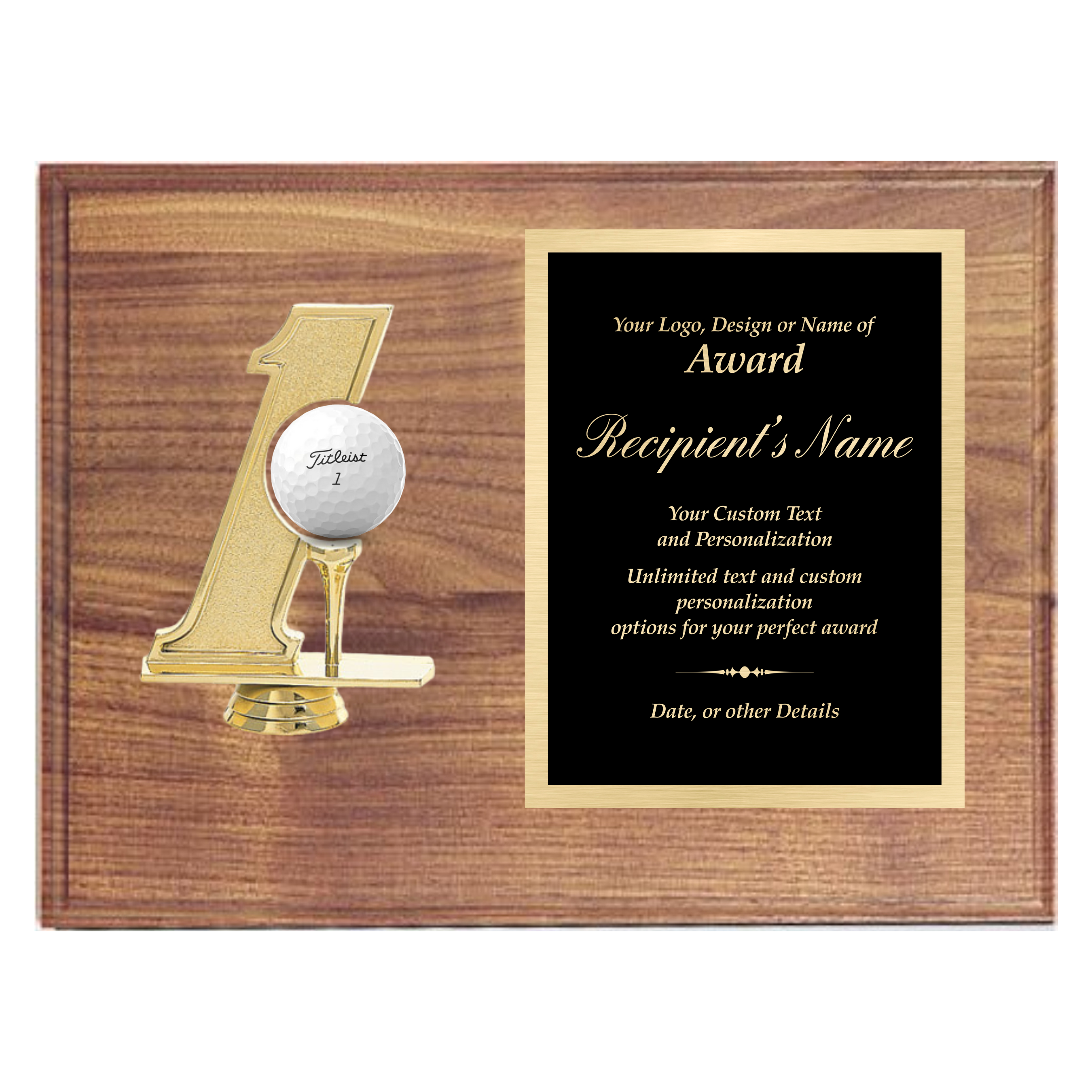 Hole in 1 Plaque