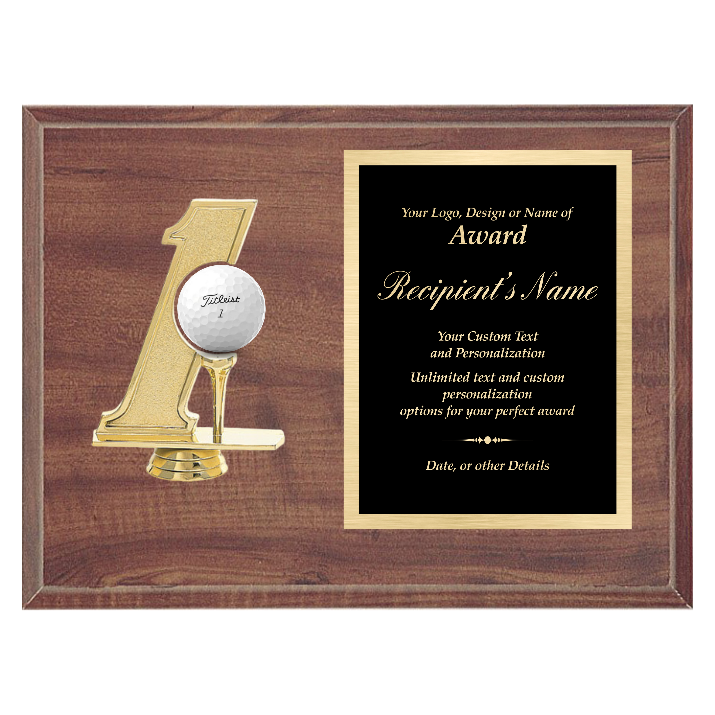 Hole in 1 Plaque