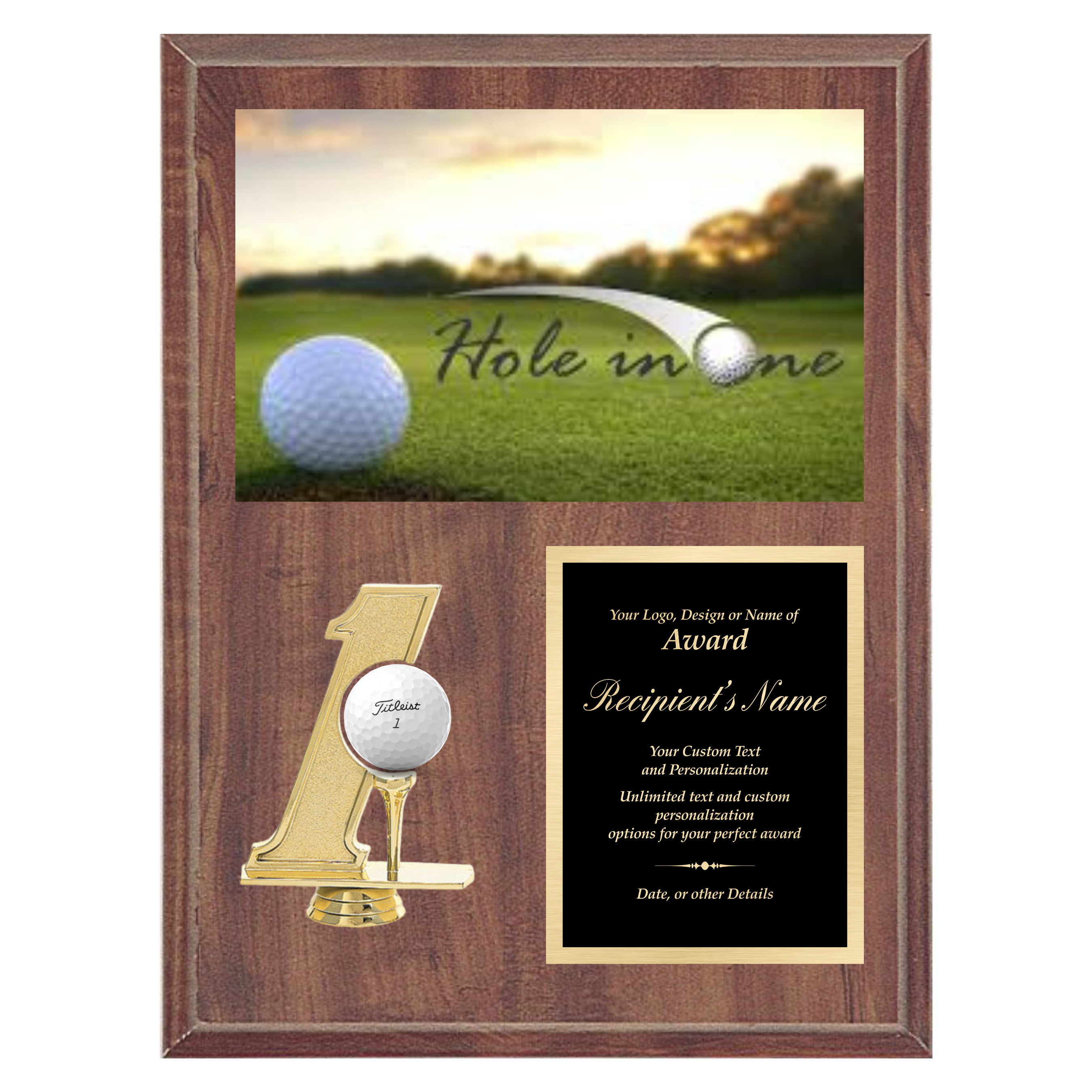 Hole in 1 Plaque with Photo