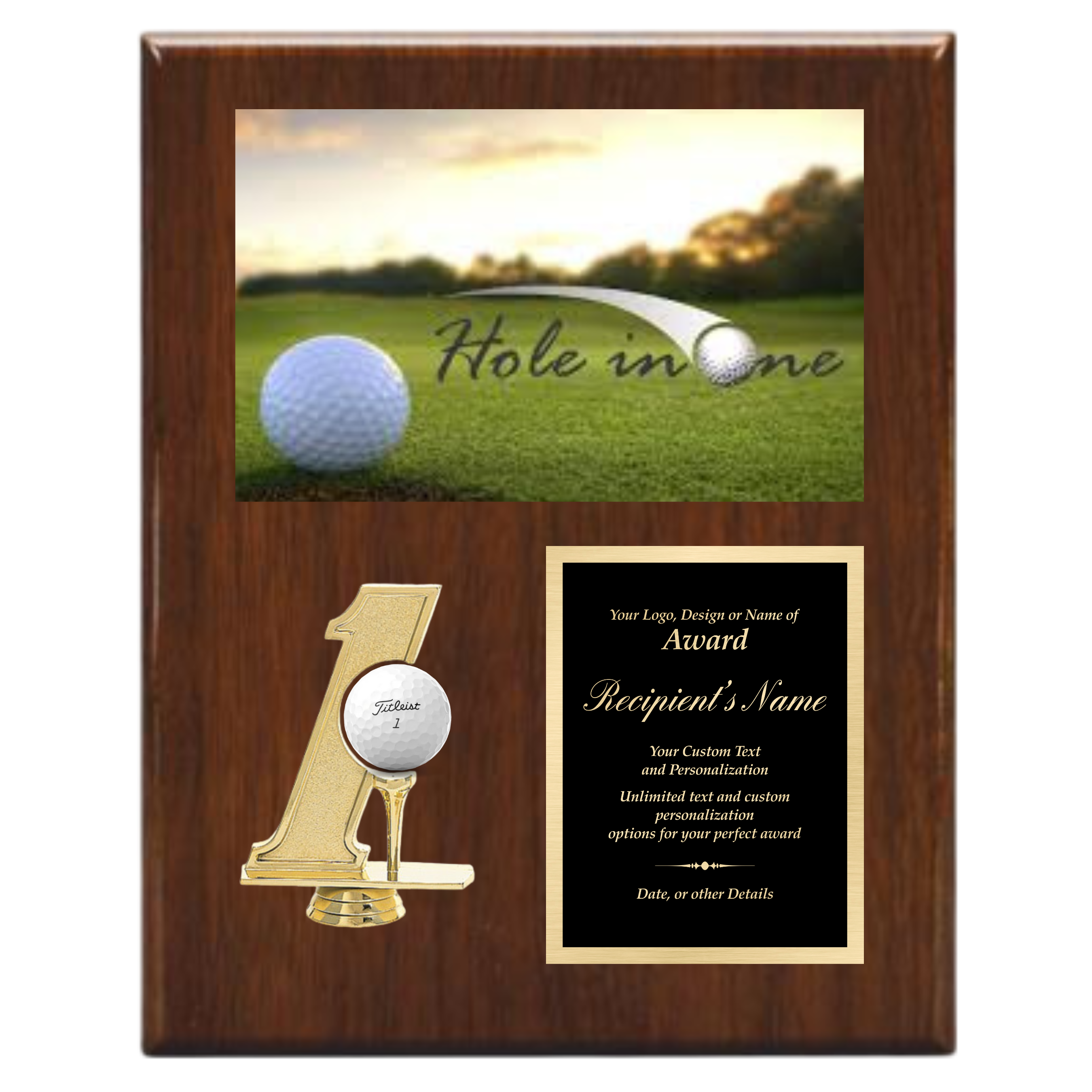 Hole in 1 Plaque with Photo