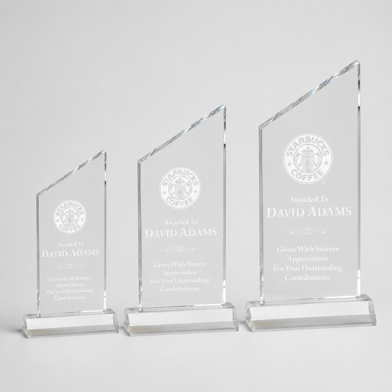 Peak Acrylic Award