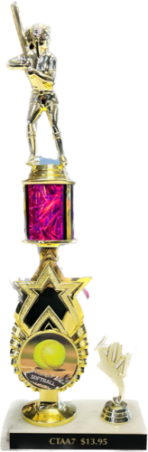 "Star Riser" Award Trophy with Trim Figurine