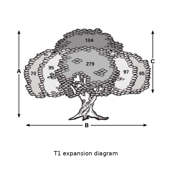 T1-expansion catalog expansion diagram