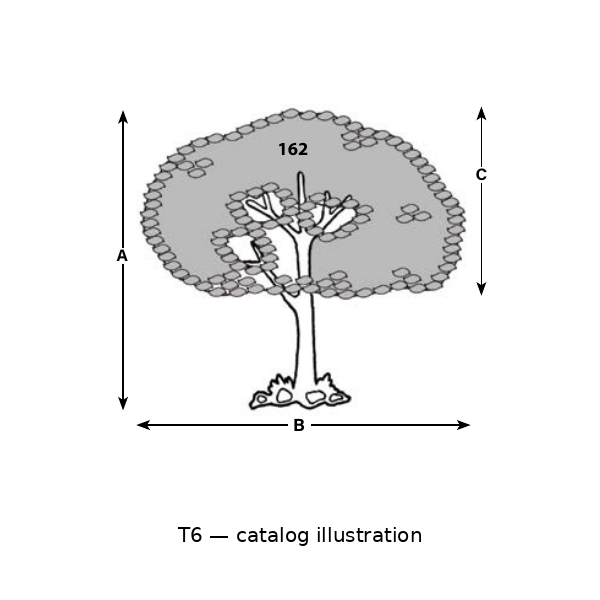 T6 catalog illustration