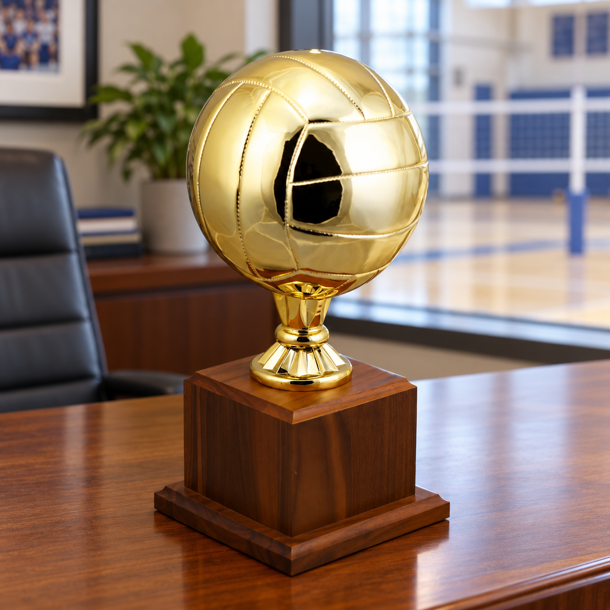 Volleyball Replica Award — lifestyle photo