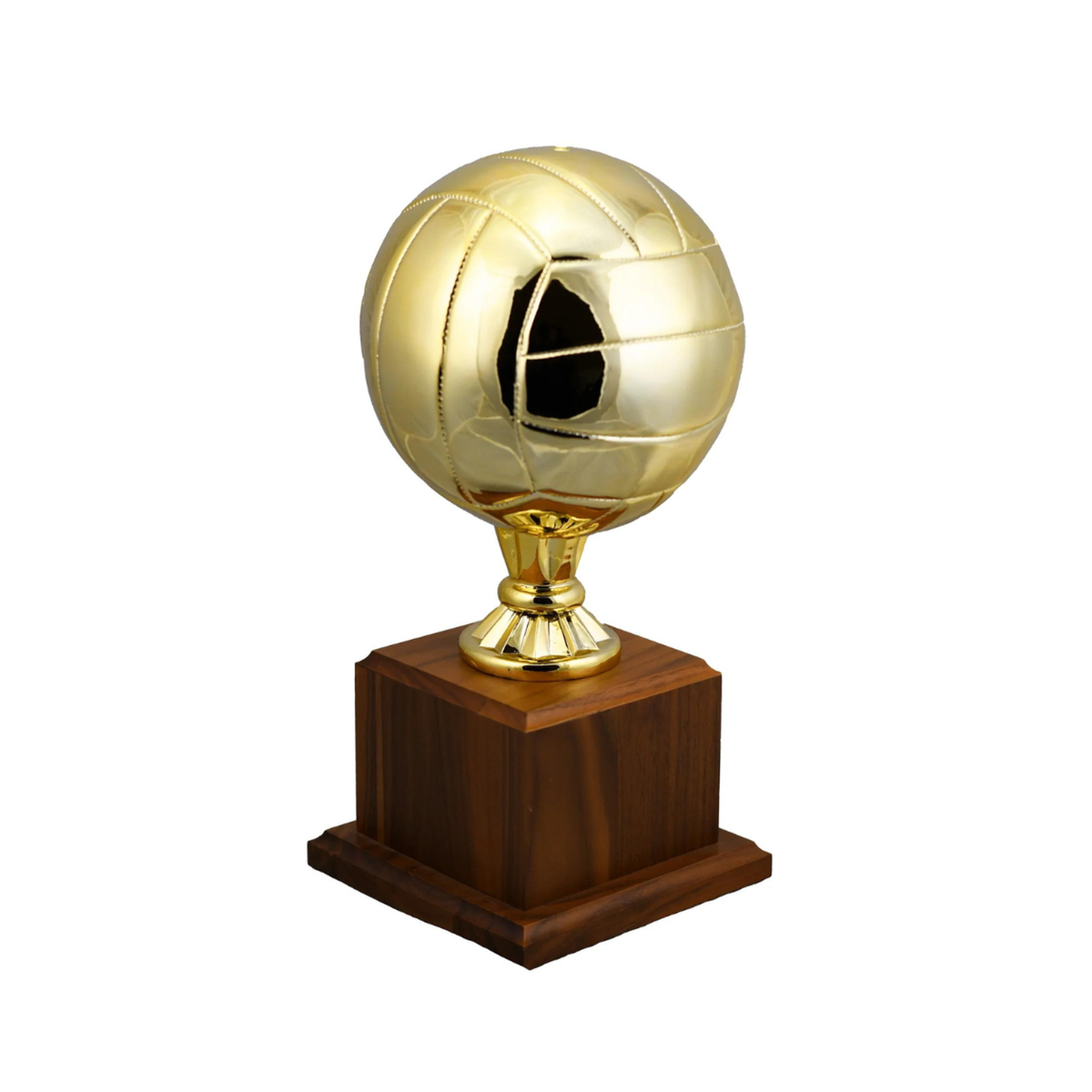 Volleyball Replica Award — main product photo