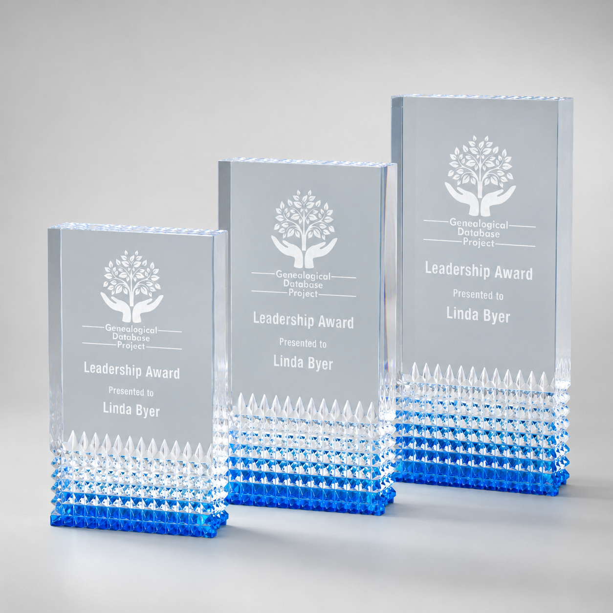 Tribute Acrylic Award