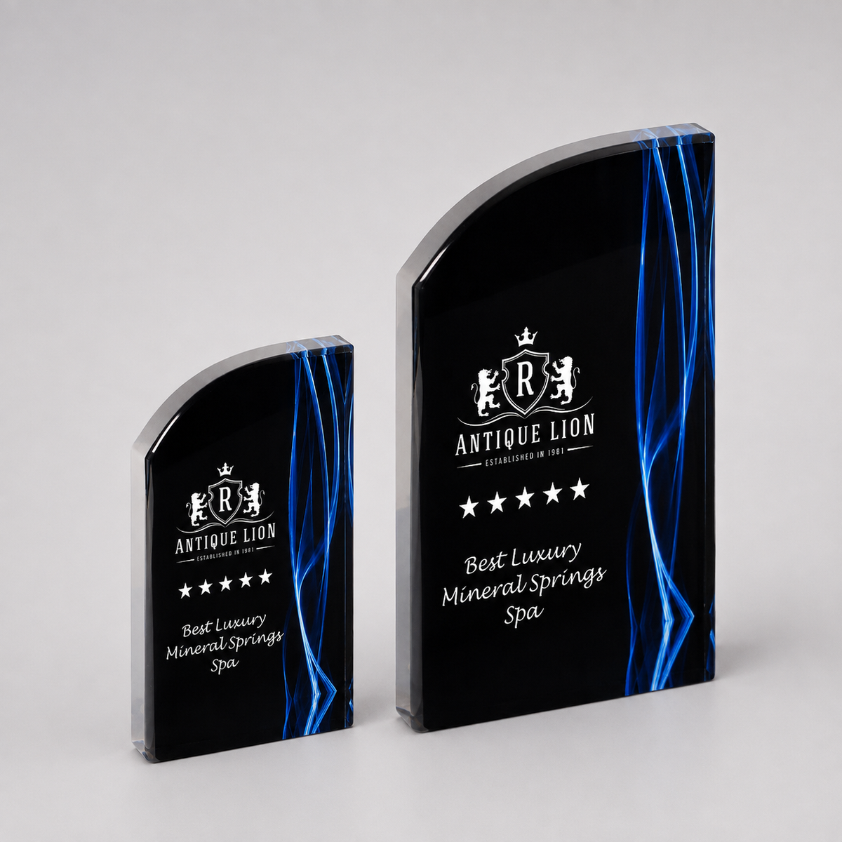 Wave Vapor Acrylic Award